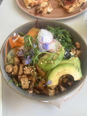 Poke bowl   at Spica - Bar And Restaurant in Radovljica