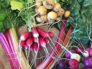 Local produce sold and used to make our deli offerings when in season at Spice and Grain in Fryeburg
