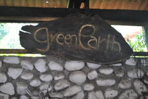 green earth at Green Earth Vegetarian Restaurant in Lucban