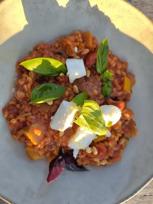 Ancient grain risotto with basil and vegan feta at Hafner Wirtshaus in Neuschoenau