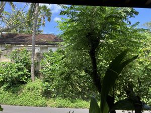 view from table  at Prima Warung in Ubud