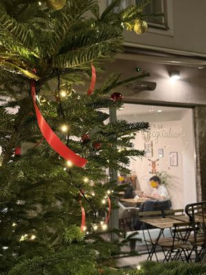 front  at Vegitalian in Salzburg