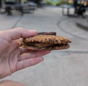 Oatmeal Cream Cookie at Lucky Tree in Raleigh