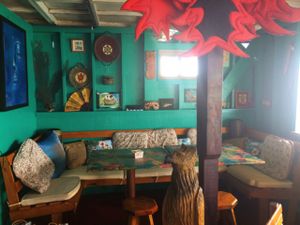 - at Leaf Eaters Cafe in Bocas Del Toro