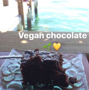 vegan at Leaf Eaters Cafe in Bocas Del Toro