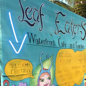 vegan friendly at Leaf Eaters Cafe in Bocas Del Toro