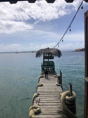   at Leaf Eaters Cafe in Bocas Del Toro