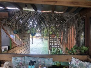   at Leaf Eaters Cafe in Bocas Del Toro