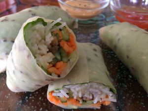 Spring rolls at Leaf Eaters Cafe in Bocas Del Toro