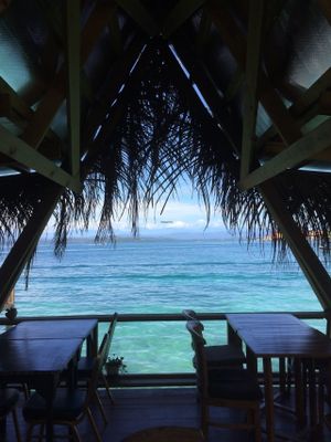 Leaf eaters deck at Leaf Eaters Cafe in Bocas Del Toro