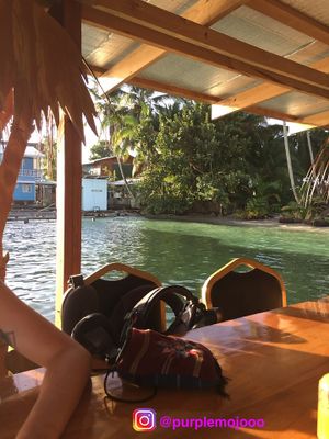 Stunning view  at Leaf Eaters Cafe in Bocas Del Toro