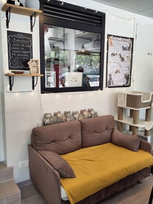 Eat-in space at Chat-Rivari Café in Paris