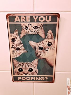 Deco at Chat-Rivari Café in Paris