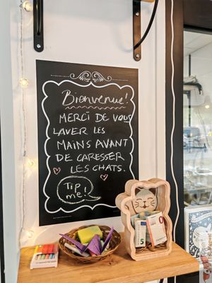 Rules at Chat-Rivari Café in Paris