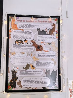 Rules at Chat-Rivari Café in Paris