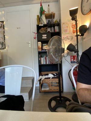   at Chat-Rivari Café in Paris