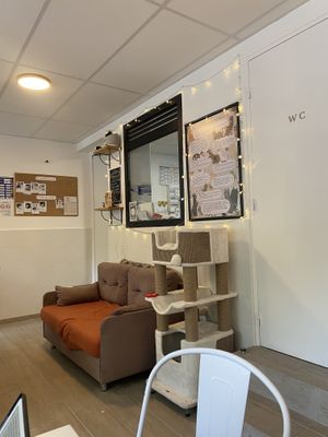   at Chat-Rivari Café in Paris