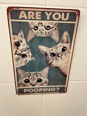 Decoração do banheiro at Chat-Rivari Café in Paris