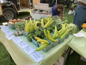 Produce vendor at Mentor Farmers Market in Mentor