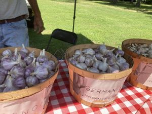 Garlic vendor at Mentor Farmers Market in Mentor