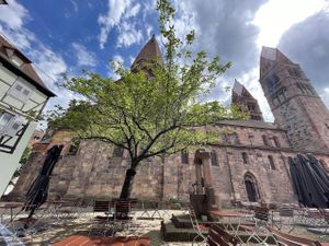 Terrace of the venue   at L'Acoustic in Selestat