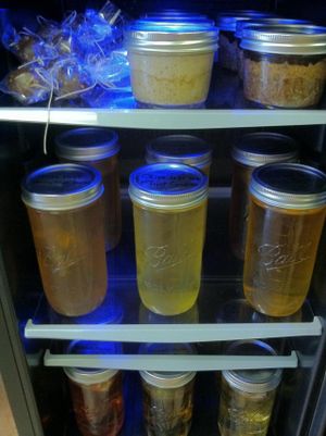 Cold Brewed teas by Wisdom Nectar Tea & Olive Leaf Tea Co. Both Phoenix based companies. Return the jar and get .50 off your next purchase! at Iss' Magic Mixes Oatmeal Cafe in Mesa