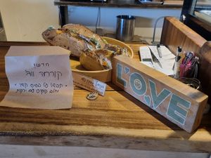  at Being in Pardes Hanna-karkur