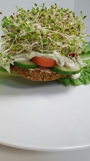 Falafel Burger at Yummy Green in Victoria