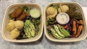 Fava Burger Salad and Modern Falafel   at Makka Living Foods in Palm Springs