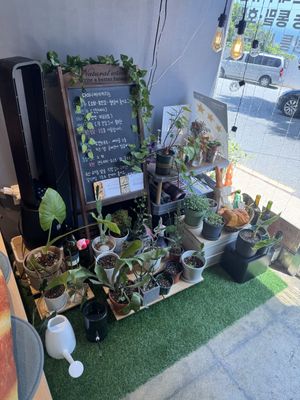 plant station   at Dainy Bakery - 다이니베이커리 in Busan