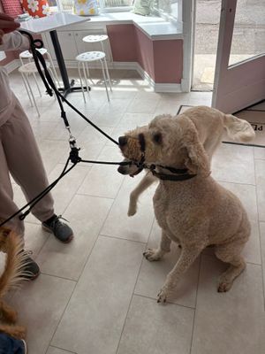  at Plant Blonde Studio in Glasgow