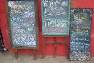 some of the available options at Newen Vegetariano in Santiago