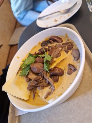 Maultaschen with savory creamy mushroom sauce at Das Voglhaus in Konstanz
