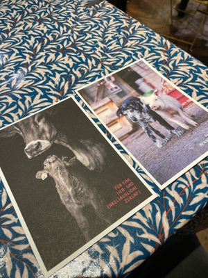 Cute cards and info material  at Das Voglhaus in Konstanz