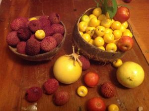 Fermented kombucha and water kefir available using local organic tropical fruits, a cool effervescent  drink that will refresh both you and  your  gut flora!  at Pura Vida in Zihuatanejo