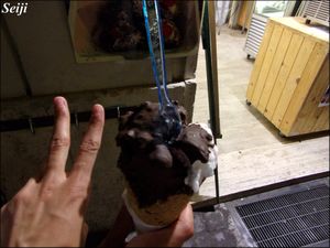 Vegan Ice Cream (chocolate and coconut with chocolate topping) at CamBio Vita in Rome