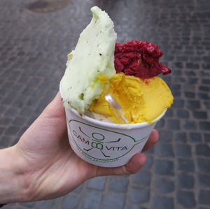 Incredible mix of vegan flavours! at CamBio Vita in Rome