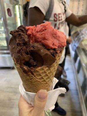 Dark chocolate & raspberry!  at CamBio Vita in Rome