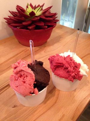 Delicious ice cream! We loved that place! at CamBio Vita in Rome