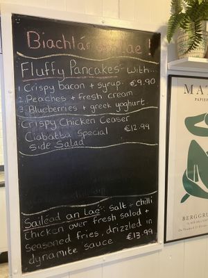 Probably only vegetarian   at Caifé Kitty in Donega