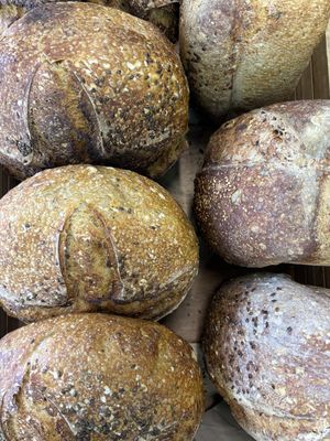   at Feast of Eden Fermentary  in Sedgefield