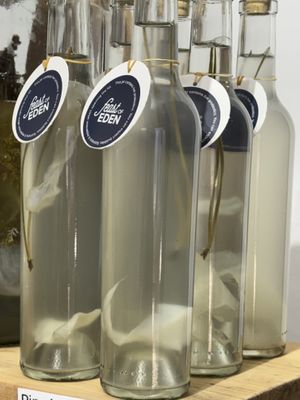   at Feast of Eden Fermentary  in Sedgefield