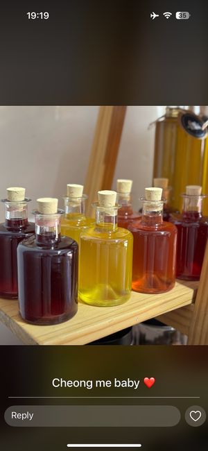   at Feast of Eden Fermentary  in Sedgefield