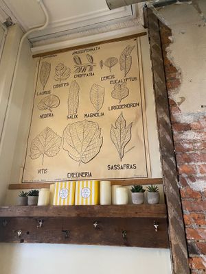 Illustrated plant poster on the wall at P.S. and Co. in Philadelphia