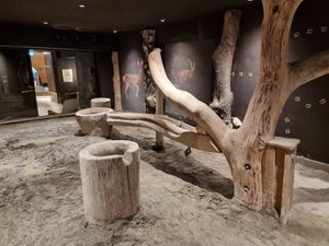  at Hotel Steiner in Salzburg