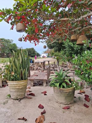  at Restaurante Uxua Quadrado in Bahia