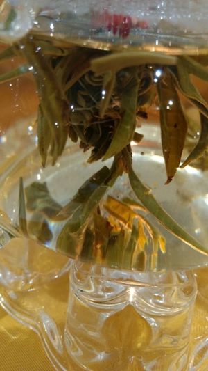 beautiful tea at Lotus Plant Based Kitchen in Manchester