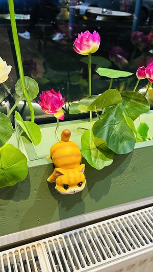 Cute decor  at Lotus Plant Based Kitchen in Manchester