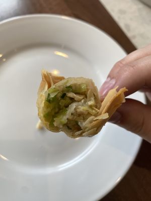 Crispy won ton  at Lotus Plant Based Kitchen in Manchester