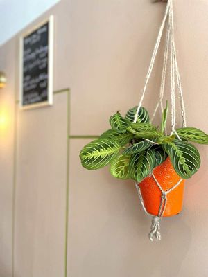  at Enracinés  in Lyon